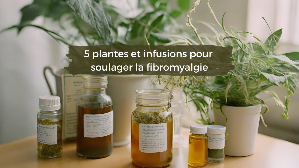 5 plantes et infusions pour soulager la fibromyalgie