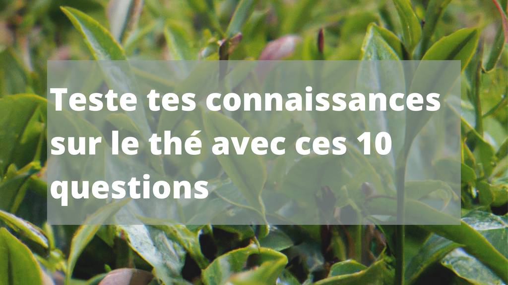 Teste tes connaissances sur le thé avec ces 10 questions