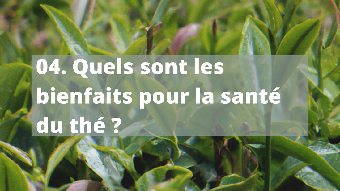 Que contient le thé ? Les repères utiles pour le choisir