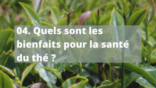 04. Quels sont les bienfaits pour la santé du thé ?
