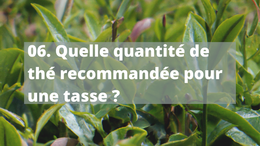 06. Quelle quantité de thé recommandée pour une tasse ?