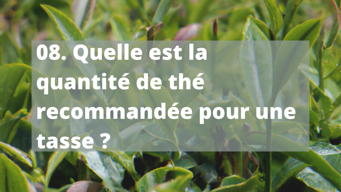 08. Quelle est la quantité de thé recommandée pour une tasse ?