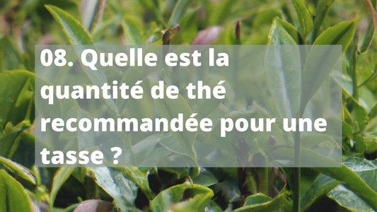 08. Quelle est la quantité de thé recommandée pour une tasse ?