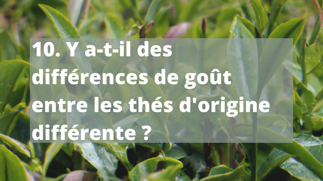 10. Y a-t-il des différences de goût entre les thés d'origine différente ?