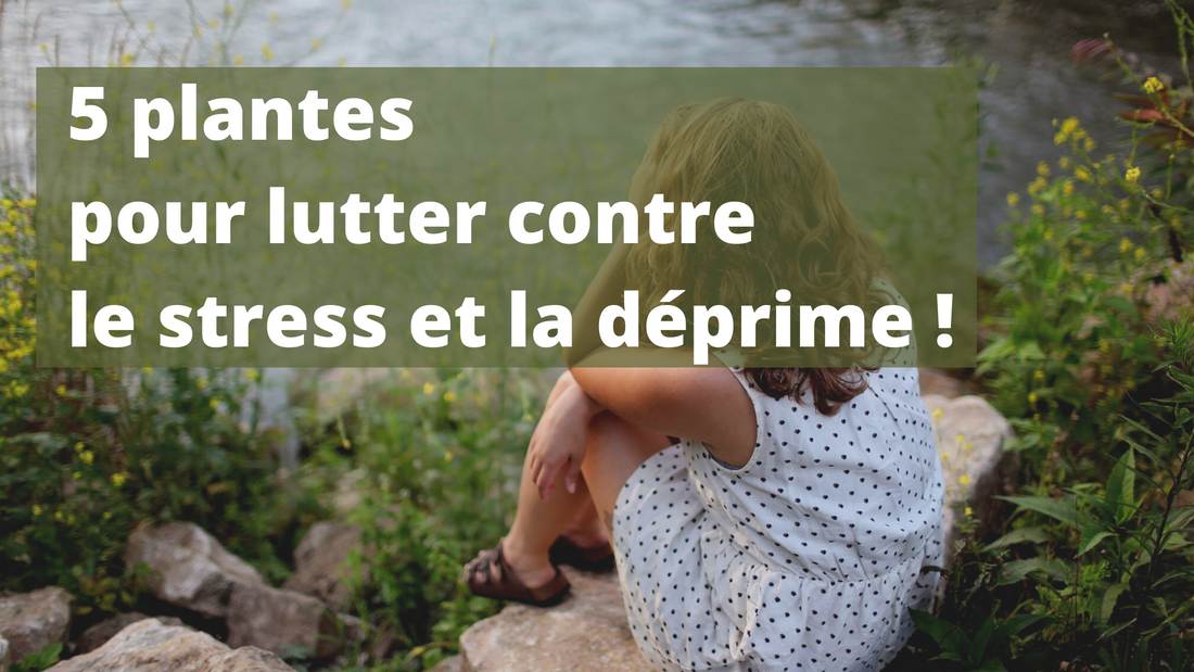 5 plantes pour lutter contre le stress et la déprime ! 🌿