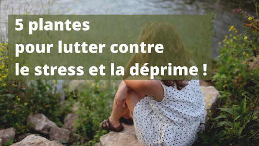 5 plantes pour lutter contre le stress et la déprime ! 🌿