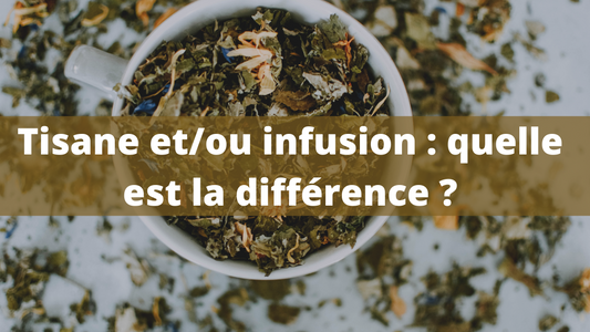 Tisane et/ou infusion : quelle est la différence ?