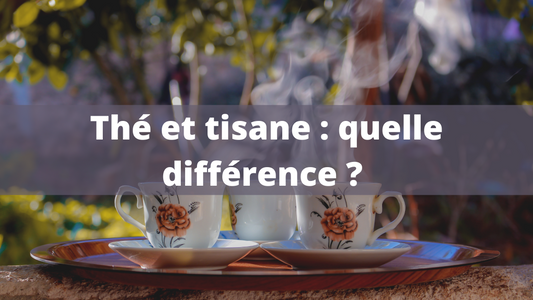 Thé et tisane : quelle différence ?