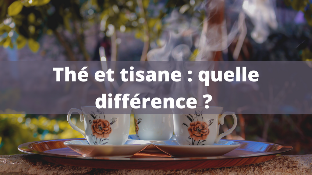 Thé et tisane : quelle différence ?