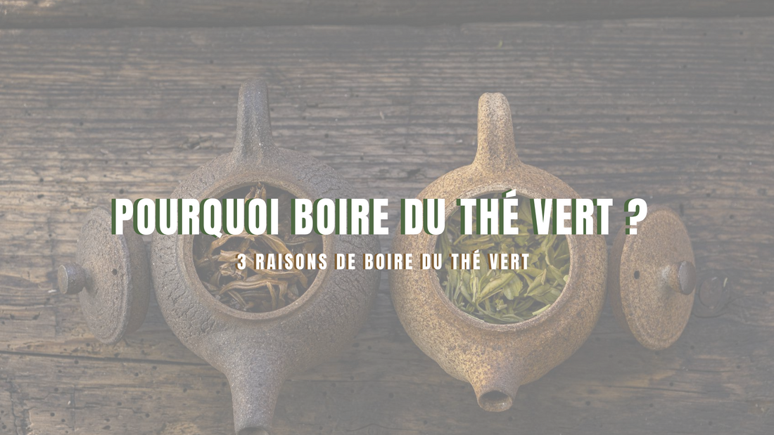 3 raisons de boire du thé vert 🌿