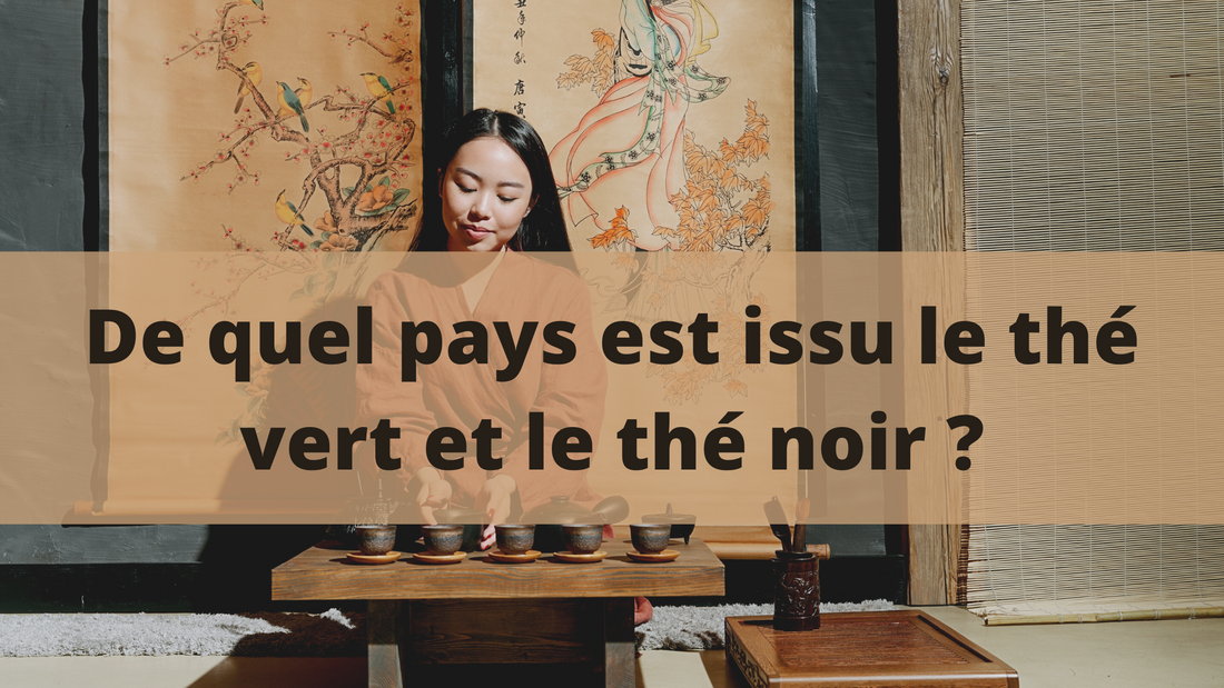 De quel pays est issu le thé vert et le thé noir ?