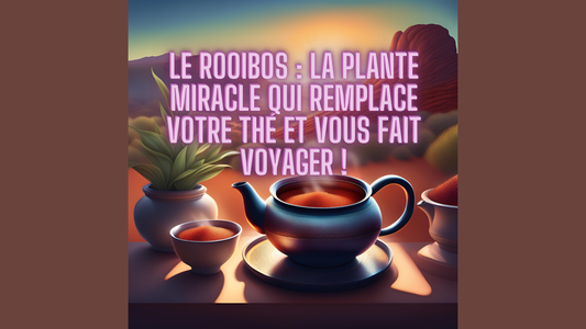 Le Rooibos : l’infusion d’Afrique du Sud qui fait voyager vos papilles