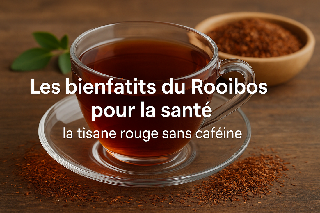 Les bienfaits du Rooibos pour la santé : la tisane rouge sans caféine
