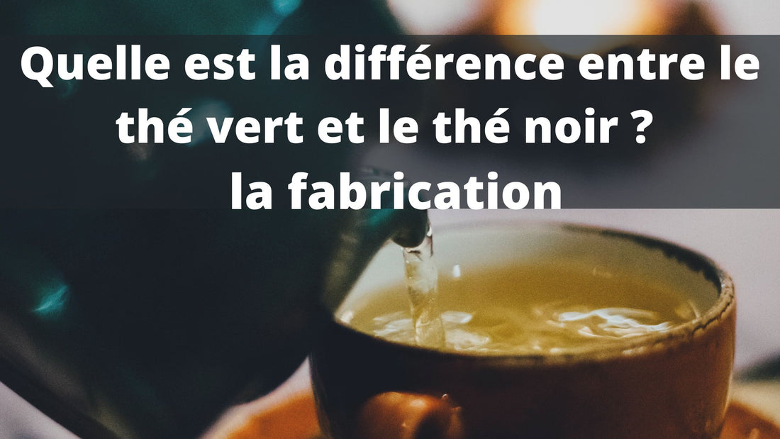 Quelle est la différence entre le thé vert et le thé noir ?  la fabrication