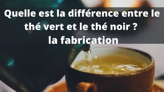 Quelle est la différence entre le thé vert et le thé noir ?  la fabrication
