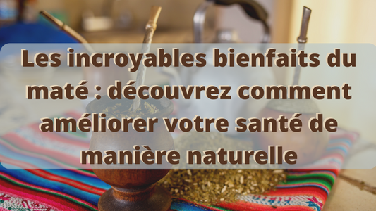 Les incroyables bienfaits du maté : découvrez comment améliorer votre santé de manière naturelle
