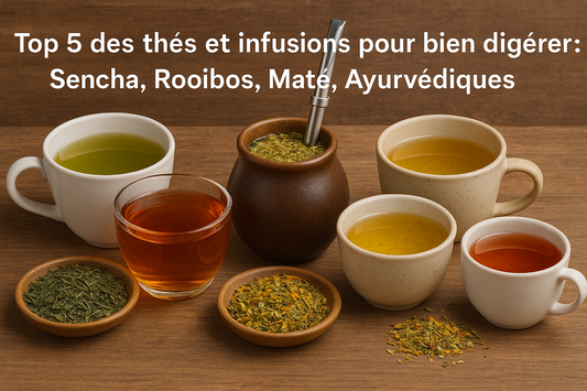 Top 5 des thés et infusions pour bien digérer : Sencha, Rooibos, Maté, Ayurvédiques