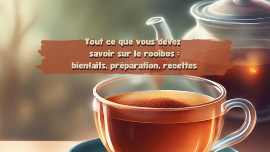Tout savoir sur le rooibos : origines, préparation et recettes
