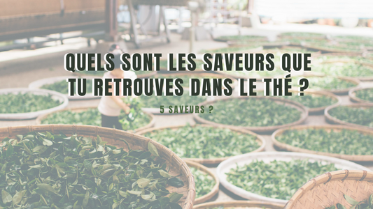 Combien de saveurs à le thé ?