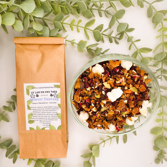 Winter Fantasy infusion en sachet et vrac – mandarine cannelle gingembre hibiscus épices d'hiver – Le Lab'oh des Thés
