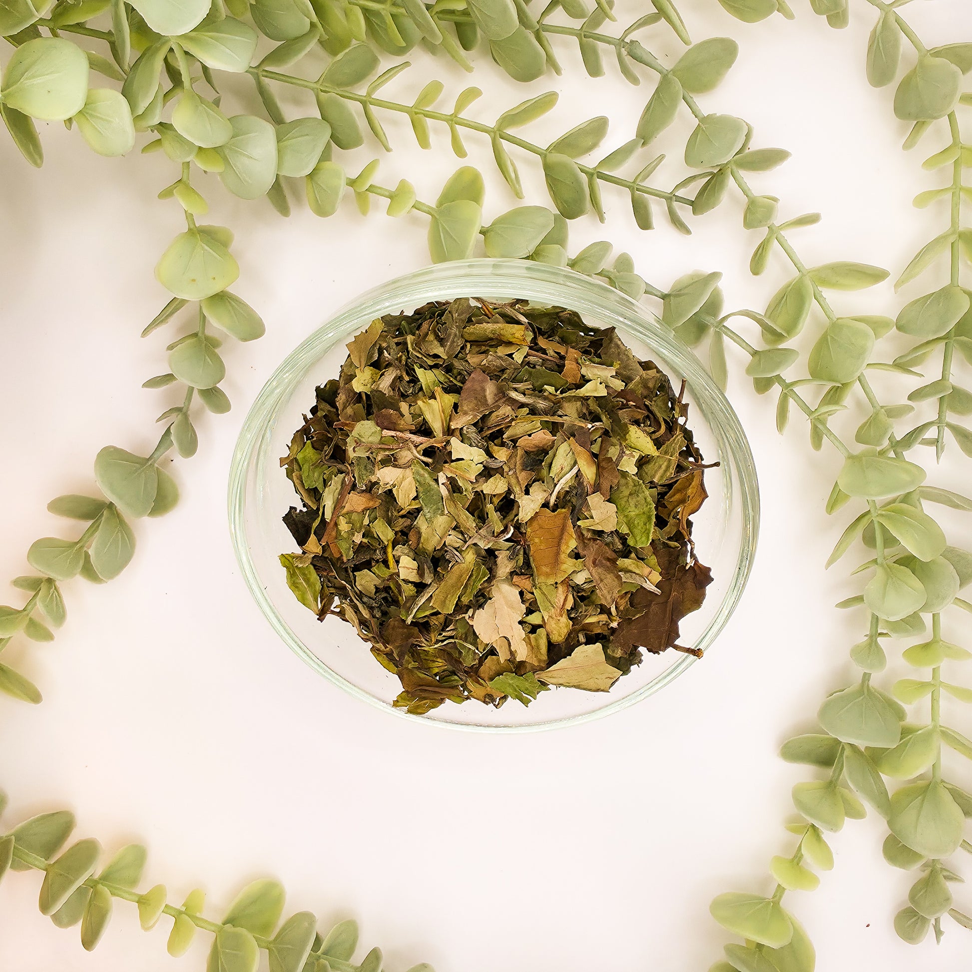 L'Essence Vanillée – mélange premium thé blanc Pai Mu Tan thé vert Chun Mee vanille naturelle – Le Lab'oh des Thés