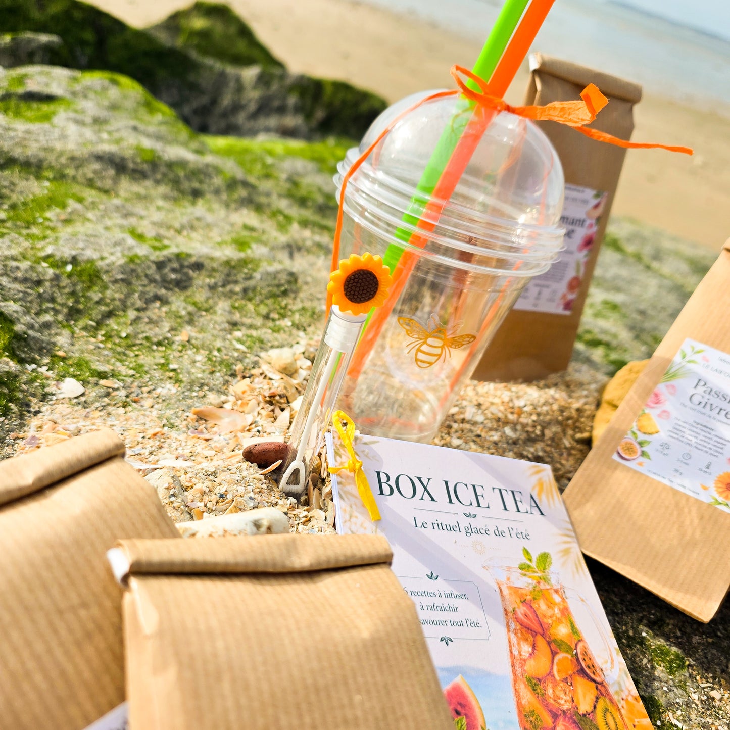 Recettes de thés glacés maison – Box Ice Tea 2026 avec tous les mélanges d'été