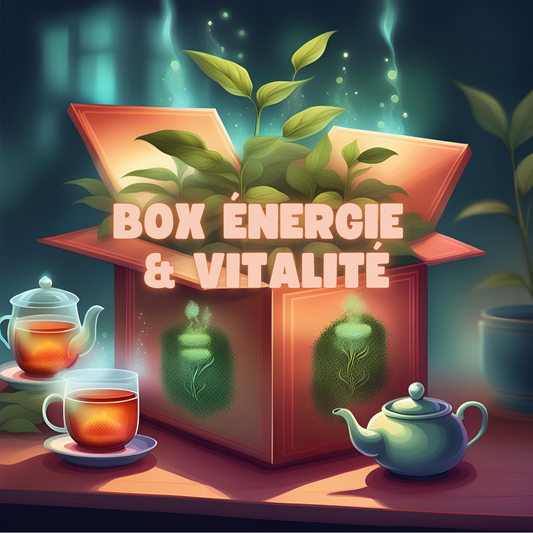 Box Énergie & Vitalité - Coffret thés et infusions tonifiants Labohdesthes