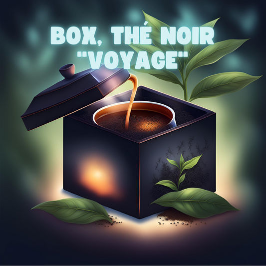 Box Thé Noir Voyage - Coffret thés noirs premium Labohdesthes