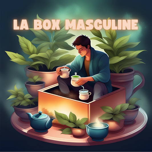 Box L'Instant Homme - Coffret thés et infusions masculins Labohdesthes