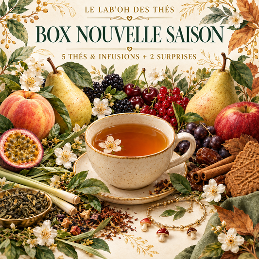Box Nouvelle Saison – 5 nouveautés pour retrouver son rythme