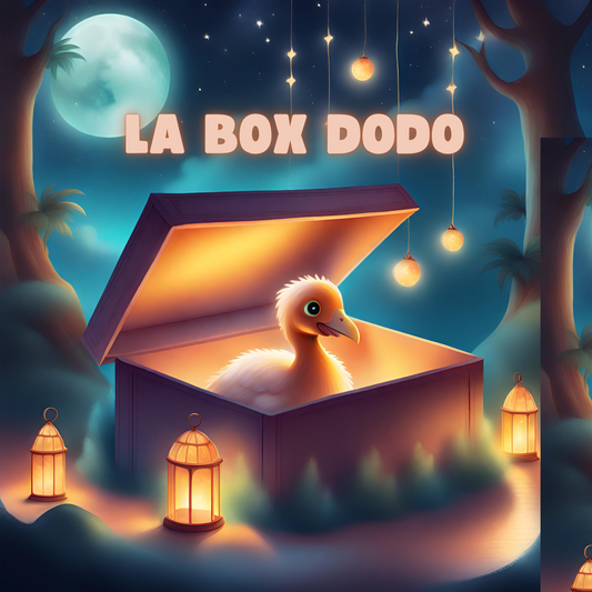 Box Dodo - Coffret tisanes sommeil et détente avec attrape-rêves Labohdesthes