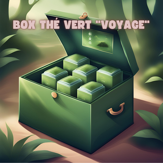 Box Thé Vert Voyage - Coffret thés verts premium détox et bien-être Labohdesthes