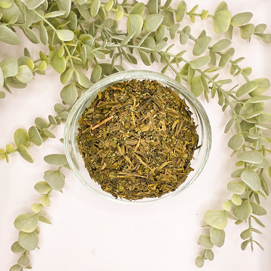 Mélange Thé Vert Menthe Verte en vrac – Sencha de Chine menthe verte fraîche – Le Lab'oh des Thés