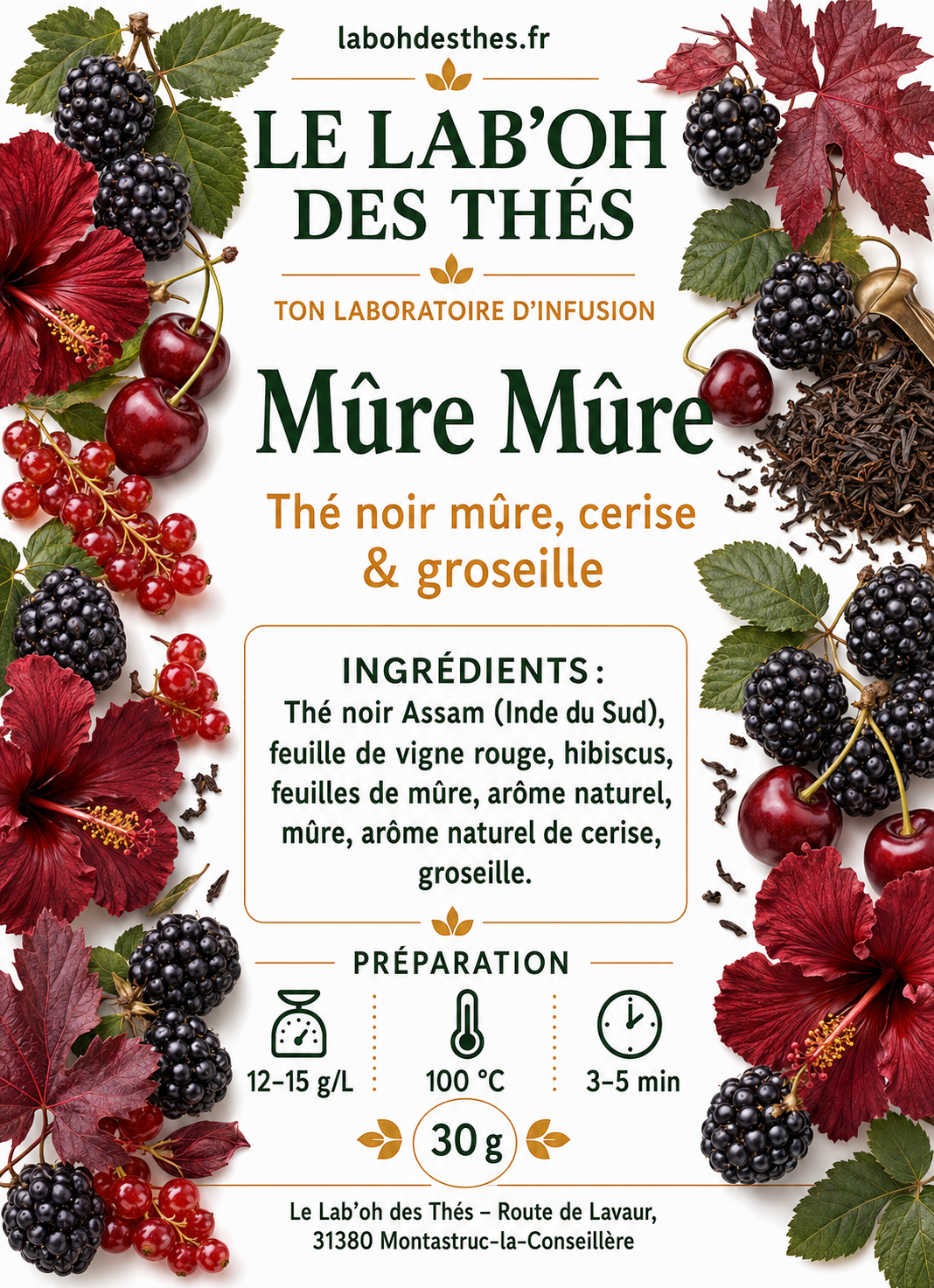 Thé Noir Mûre Mûre – Mûre, Cerise & Groseille