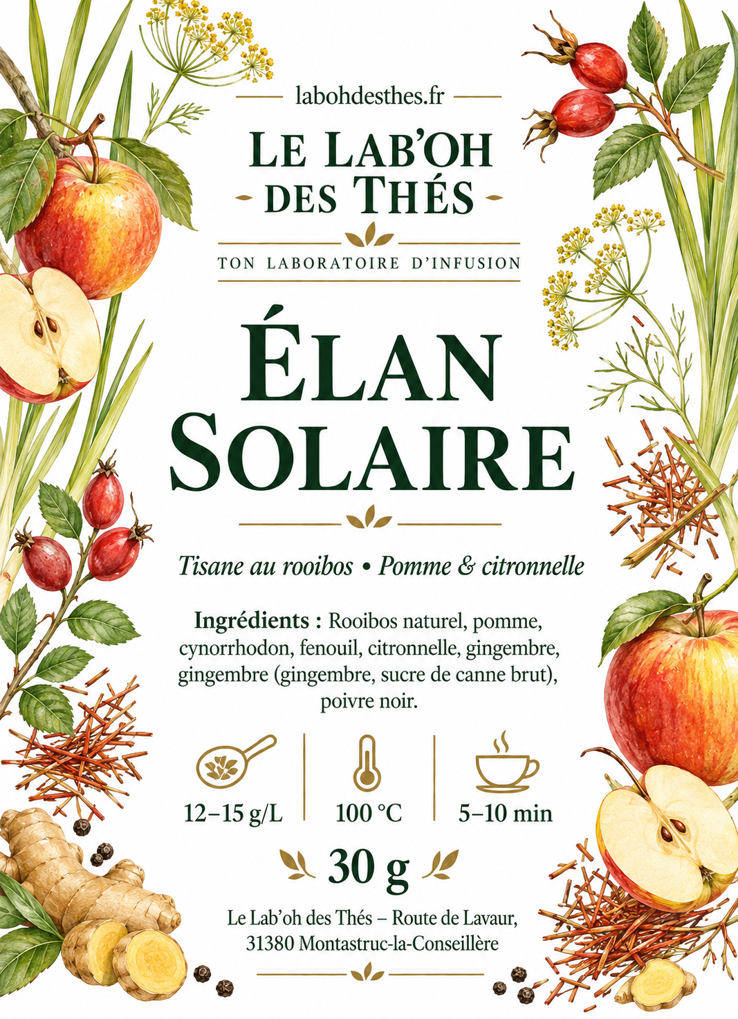Tisane Élan Solaire – Rooibos, Pomme & Citronnelle