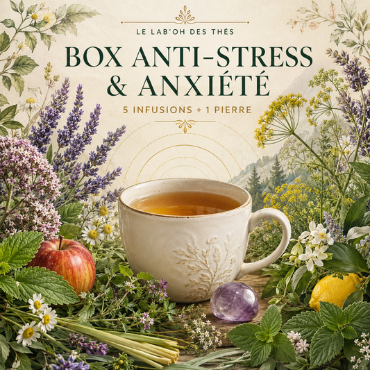 Visuel botanique de la Box Anti-Stress & Anxiété, 5 infusions et une pierre – Le Lab’oh des Thés