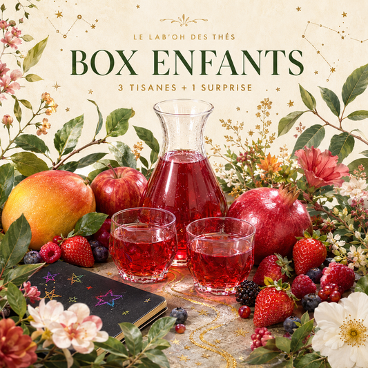 Visuel fruité de la Box Enfants, 3 tisanes, une surprise et un carnet magique – Le Lab’oh des Thés