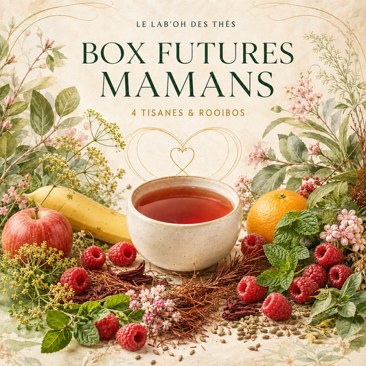 Visuel botanique de la Box Futures Mamans, 4 tisanes et rooibos – Le Lab’oh des Thés