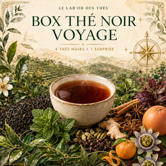 Visuel botanique de la Box Thé Noir Voyage, 4 thés noirs et 1 surprise – Le Lab’oh des Thés