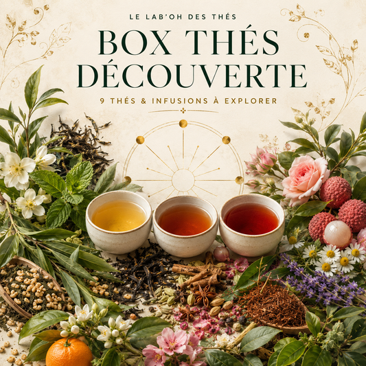 Visuel botanique de la Box Thés Découverte, 9 thés et infusions – Le Lab’oh des Thés