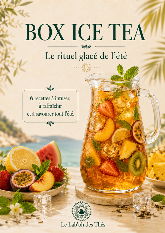 Livret de recettes Box Ice Tea – E-book PDF