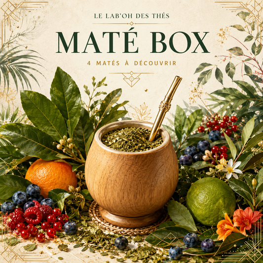 Visuel botanique de la Maté Box, 4 matés à découvrir – Le Lab’oh des Thés