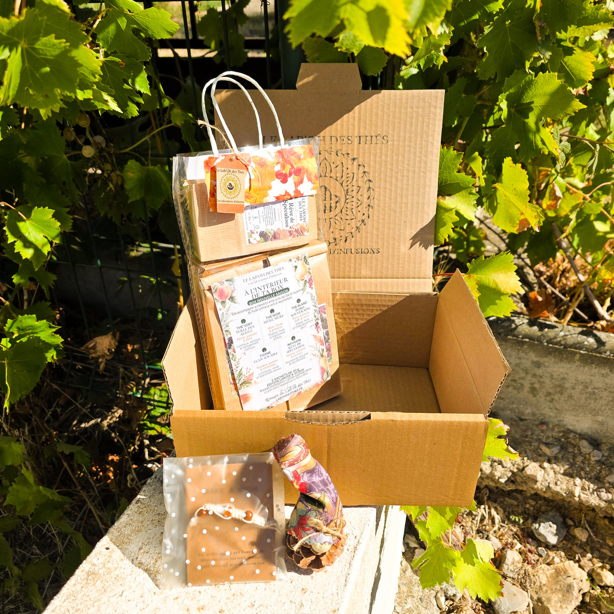 Box Nouvelle Saison – 5 nouveautés pour retrouver son rythme