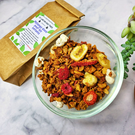 Mélange Doux Enfants en vrac – rooibos fraise framboise banane pop-corn pomme fenouil cacao vanille – Le Lab'oh des Thés
